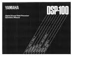 Yamaha DSP-100 Amplifier Owners Manual