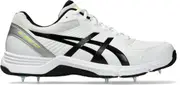 GEL-100 Not Out Men's Cricket Shoes