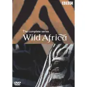 野性非洲 DVD