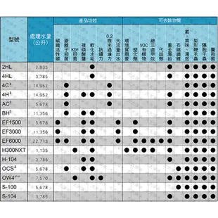 PENTAIR EVERPURE S100濾心 美國原裝進口 S-100 大大淨水