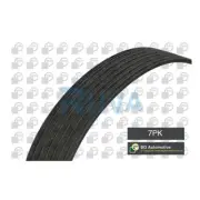 Fits Renault Clio 2005- 1.1 1.2 Ruva V Ribbed Drive Belt 8200830184