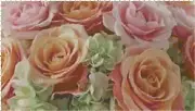 Peach and Pink Roses Flowers Shabby Chic Counted Cross Stitch Pattern Chart