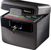 SentrySafe Black Fireproof and Waterproof Safe, File 0.65 Cubic Feet, black