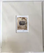 Original Collage Art Of Sea Urchin Shell