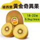 水果狼- 特大 紐西蘭Zespri 黃金奇異果 金圓頭 18-22顆 / 原裝箱 3.3Kg (6.9折)