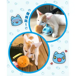 Fandora 貓貓蟲咖波 寵物玩具 咖波魚 肉肉 貓用 犬用 貓狗通用 藏食玩具 發聲玩具 寵物玩具 貓玩具 狗玩具