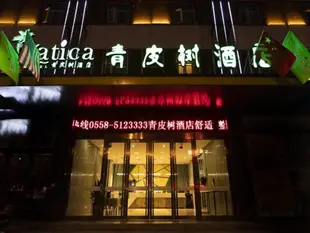 青皮樹亳州市火車站酒店Vatica Bozhou City Railway Station Hotel