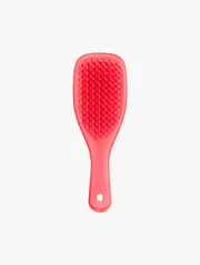 The Mini Ultimate Detangler Brush