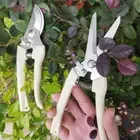 Pruning Shears Plant Scissors Trim Trees Snips Branch Garden Secateurs Tool
