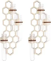 RdjEokf 2 PCS Wall Hanging Planter, with Hollow Wood Stand, with Propagation Tubes, Wall Planter, Testtube Flower Vases, for Hydroponic Plants Cutting Home Office Garden Decor