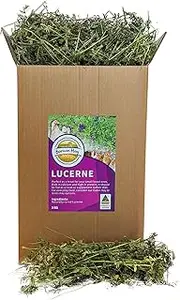 Alfalfa Hay (Lucerne) 3 KG Box - Natural Rabbit & Guinea Pig Treat - Freshly Packed on Farm