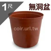 在飛比找蝦皮購物優惠-【現貨】【全館590免運】1尺(30cm)無洞栽培盆 #淺盆