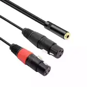 10 foot, Dual XLR to 1/8 Female, Balanced Mini-Jack to Microphone Cable Adapter