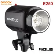 Godox E250 Mini Photography Studio Strobe Flash Lighting Lamp Head pe66