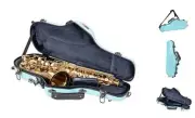 Pro-Grade Alto Saxophone Case | Mint Blue Finish, TSA Lock, Elite Protection,