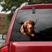 Sale funny Vizsla decal,Vinyl decal,car decoration,animal,decal dogs Lover