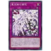 在飛比找蝦皮購物優惠-【卡の家】遊戲王 SLT1-JP039 聖天樹之開花 (普卡