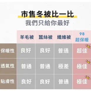 【 iDOWN 】 JIS日規 98/2 超保暖波蘭羽絨被 ▏頂極專櫃級羽絨被 ( 雙人180 x 210 cm )