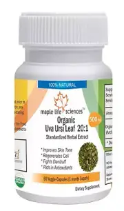 ORGANIC Uva Ursi Leaf 20:1 Extract Capsules Arctostaphylos uvaursi Arbutin