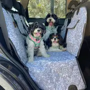 Dog Hammock Back Seat Cover - Neutral Brushstrokes - Car 2-in-1 System