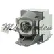 Viewsonic ◎RLC-079原廠投影機燈泡 for PJD7820HD、PJD7822HDL
