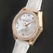 omega Seamaster Co-Axial Aqua Terra watch unisex TO02755