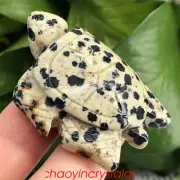 2'' Natural balmatin sea turtles quartz crystal carved skull decor reiki 1pc