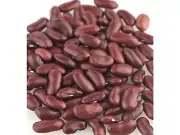 Organic Dark Red Kidney Bean Beans 2 Pounds Free Shipping