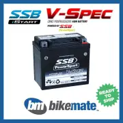 Battery AGM VSPEC for BETA RR 430 2015 2016 2017 2018 2019 2020