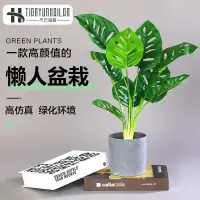 在飛比找松果購物優惠-簡約北歐風格仿真綠植物龜背竹假花裝飾 (8.3折)