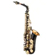 Saxophone Black Paint E-flat Sax for Beginner Student Intermediate Player Q6N2