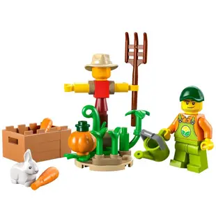 LEGO 30590 田園農場花園 polybag 城市系列【必買站】樂高盒組