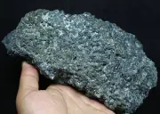 2.86lb backbone of Inner Mongolia green crocodile Crystal mineral specimens