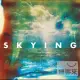 THE HORRORS / SKYING (2LP黑膠唱片)