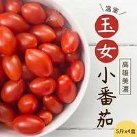 在飛比找鮮拾優惠-【禾鴻】高雄美濃溫室玉女小番茄5斤x4盒【預購】