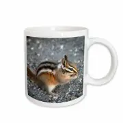 3dRose Eating chipmunk in Yosemite National Park - animal, nature, rodent, wildl