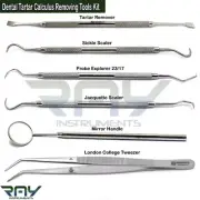 Dental Scaling Tartar Calculus Remover Kit Hygiene Explorer Probe Mouth Mirror
