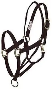 Aime Imports Basic Pull Back Training Halter