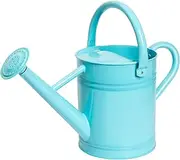 Joequality Watering Can for Outdoor&Indoor Plants，1 Gallon Metal Plant Watering Can with Detachable Diffuser Spout，Beautiful Galvanized Steel Gardening Tools，Light Blue