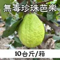 在飛比找台灣好農優惠-【有雞有鴨百果園】無毒珍珠芭樂(10台斤/箱)