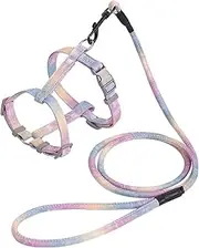 Cat Harness with Leash Set Buckle Dog Vest Adjustable Lead and Replacement Gradient Color Soft Polyester Anti Slip for Outdoor Walking Large Small Pet Travel (S)