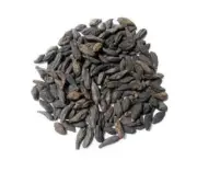 Black myrobalan Haritaki Black Terminalia Chebula Kali Harad Fresh Pure 250gm