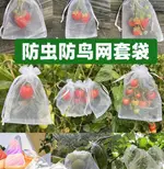 水果套袋 水果網套 防蟲防鳥紗網袋 草莓套袋 葡萄透氣套袋 無花果番石榴套袋