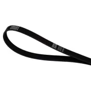 Crusader Marine R066024 Serpentine Belt (8.1L)
