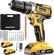 (48V) Cordless Electric Drill Two Speed Impact Drill Set, 25 Torque Settings, 2.0Ah Lithium-Ion Battery and Fast Charger, Variable Speed 0-1650 RPM
