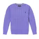 Polo Ralph Lauren 年度熱銷經典刺繡小馬麻花針織毛衣(青年款)-紫色