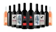 Vino Tasters Red Wine Mixed - 10 Bottles