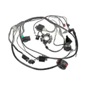 Motorcycle Atv Pit Bike Go Kart Full Complete Electrics Wiring Harness Stator 6 Coil For 50-125cc
