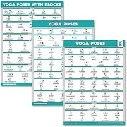 Palace Learning 3 Pack - Yoga Poses Poster Volume 1 & 2 + Yoga Positions with Yoga Block - Beginner Yoga Position Exercise Charts - English and Sanskrit Names