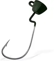 Dr.Fish 10 Pack EWG Ned Rig Jig Heads, Freshwater Bass Fishing Jigs Extra Wide Gap Hooks Weedless Soft Baits Worm Craws
